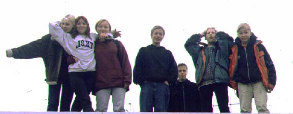 {short description of image}